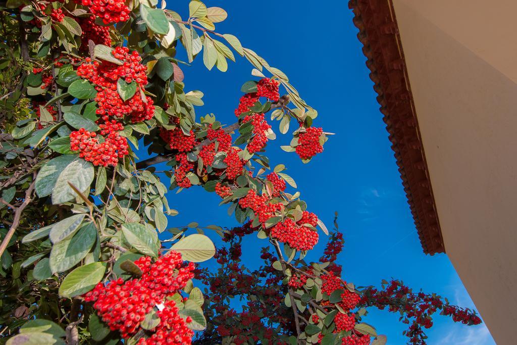 Tu Casa En Barcelona Villa Sant Cugat del Vallès Стая снимка